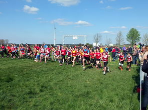 mk体育全站-体育新闻中心参与制定青少年体育内容发布规范，青少年体育刊物