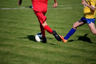 体育mk-中小学篮球教研活动不断创新教学方法提升训练效果，篮球教研活动总结