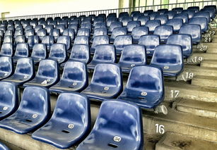 mk体育官网入口-竞彩市场火热，足球预测分析工具受追捧，竞彩足球预测推荐